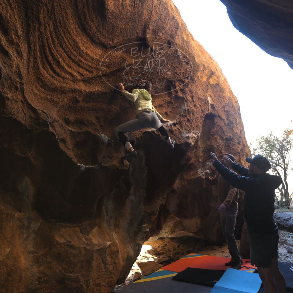 Filename: SRM_20230114_1511570.jpg
Aperture: f/4.0
Shutter Speed: 1/250
Body: Canon EOS R6
Lens: Canon EF 16-35mm f/2.8 L