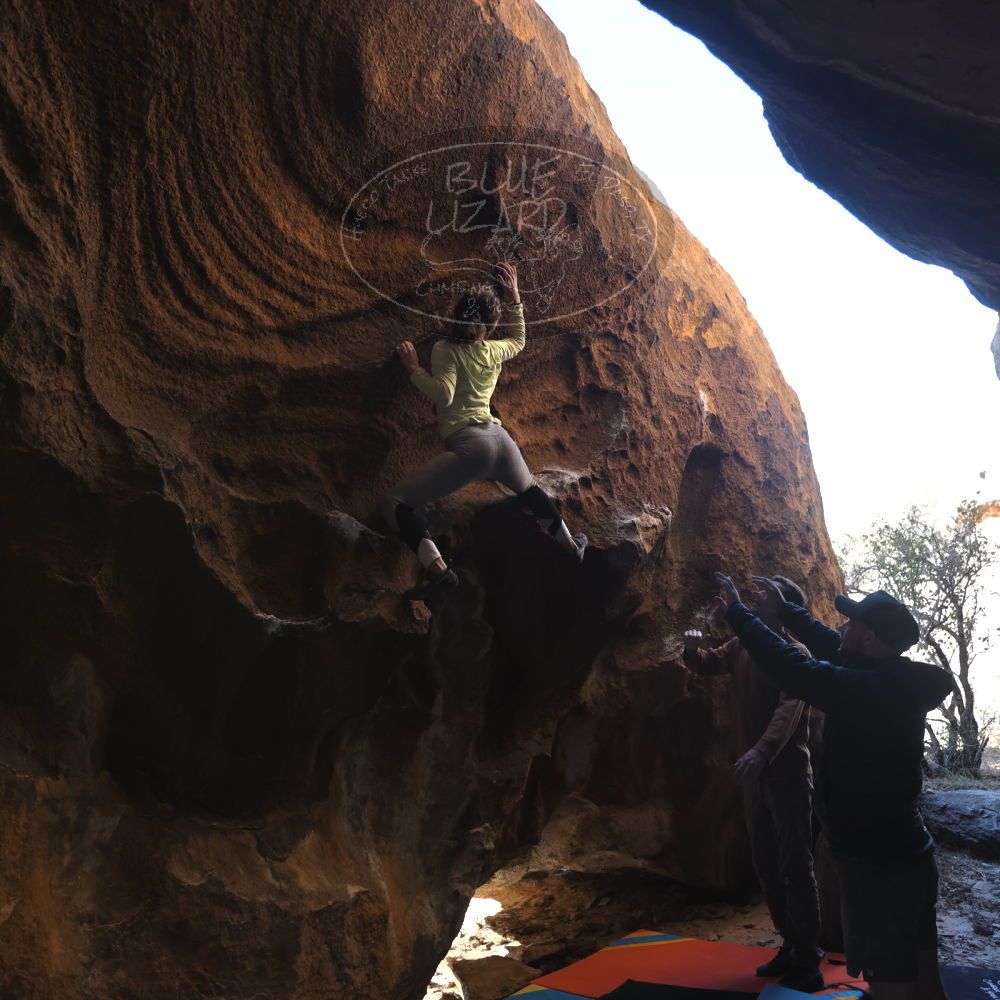 

Filename: SRM_20230114_1511590.jpg
Aperture: f/4.0
Shutter Speed: 1/250
Body: Canon EOS R6
Lens: Canon EF 16-35mm f/2.8 L