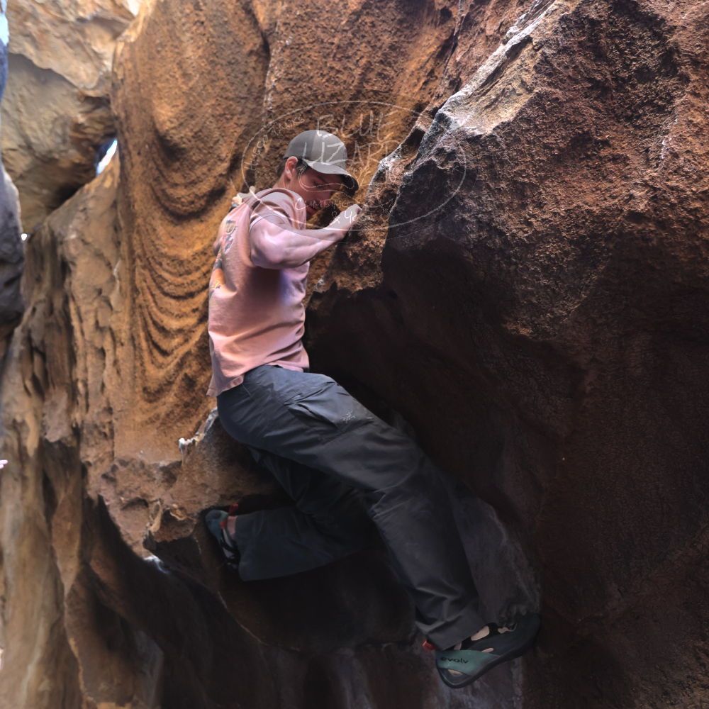 

Filename: SRM_20230114_1519350.jpg
Aperture: f/4.0
Shutter Speed: 1/250
Body: Canon EOS R6
Lens: Canon EF 16-35mm f/2.8 L