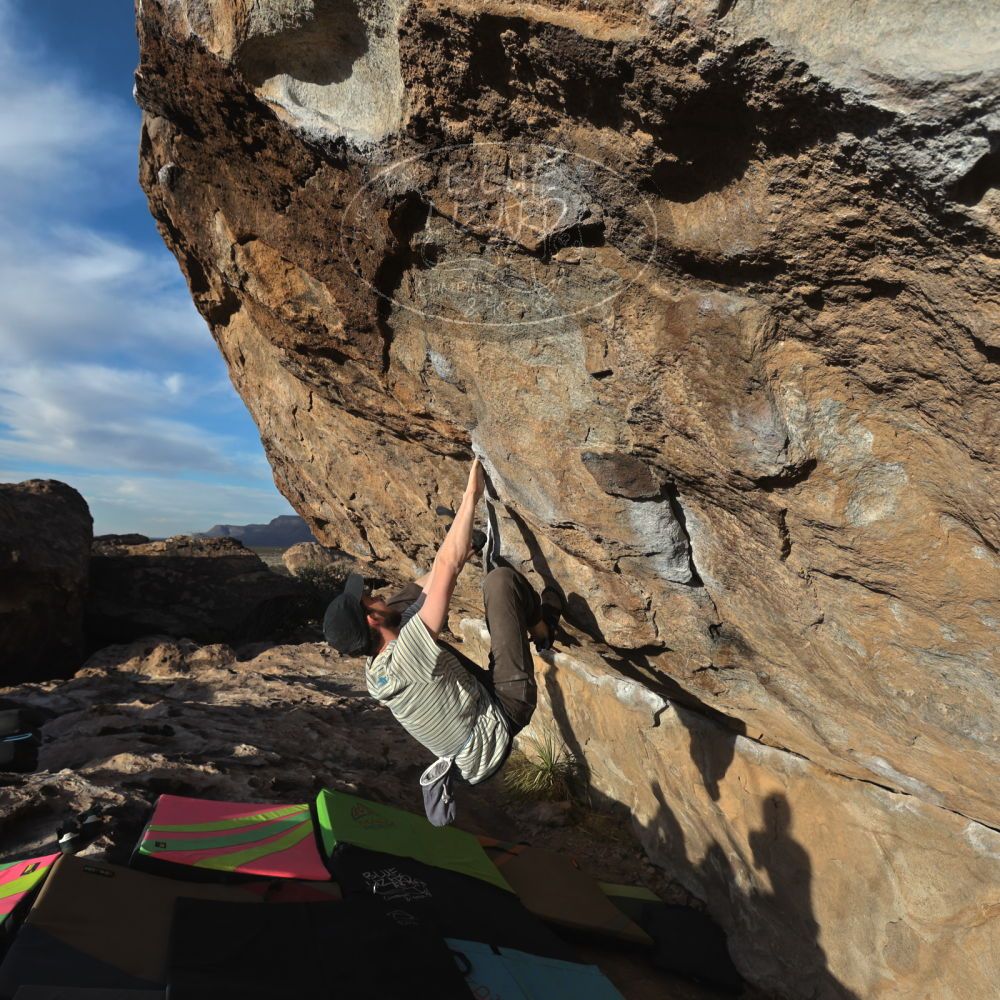 

Filename: SRM_20230114_1607060.jpg
Aperture: f/5.6
Shutter Speed: 1/1000
Body: Canon EOS R6
Lens: Canon EF 16-35mm f/2.8 L