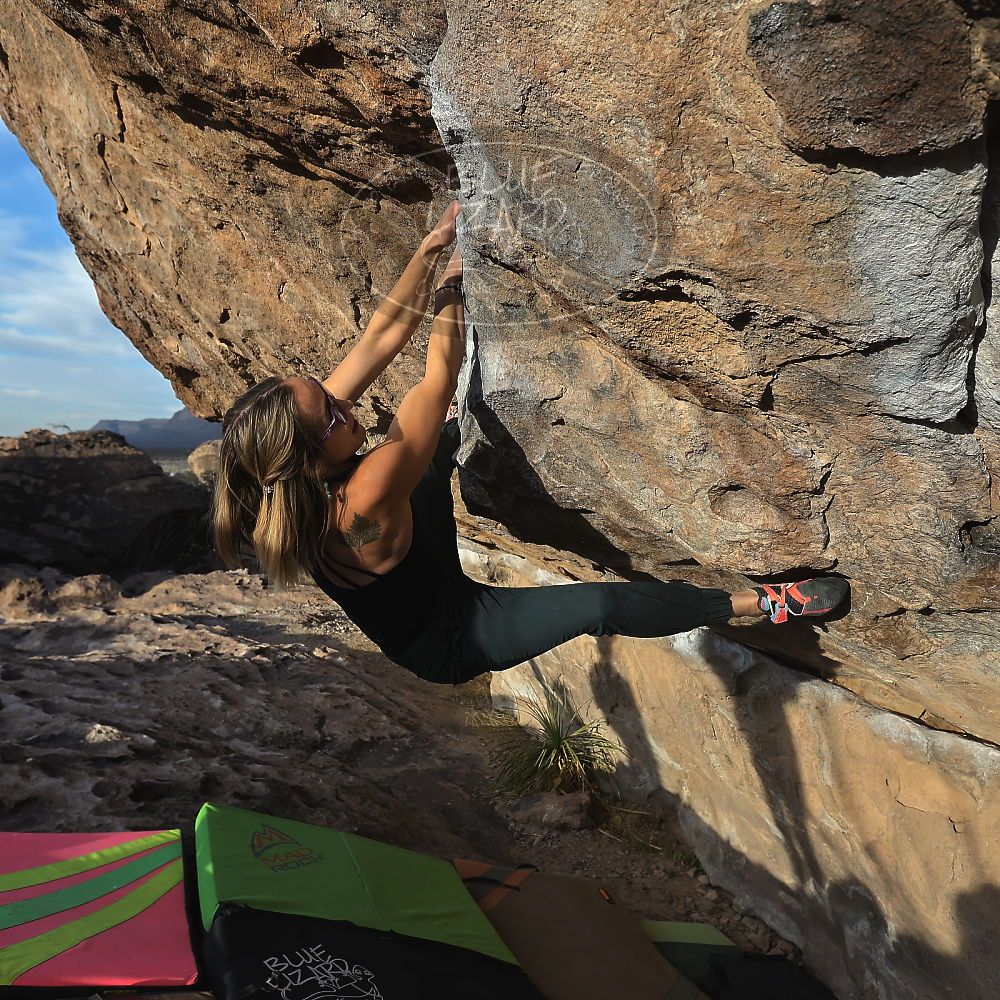 Filename: SRM_20230114_1611520.jpg
Aperture: f/5.6
Shutter Speed: 1/1000
Body: Canon EOS R6
Lens: Canon EF 16-35mm f/2.8 L