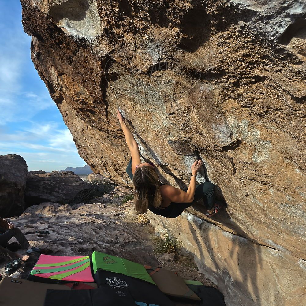 Filename: SRM_20230114_1612160.jpg
Aperture: f/5.6
Shutter Speed: 1/1000
Body: Canon EOS R6
Lens: Canon EF 16-35mm f/2.8 L