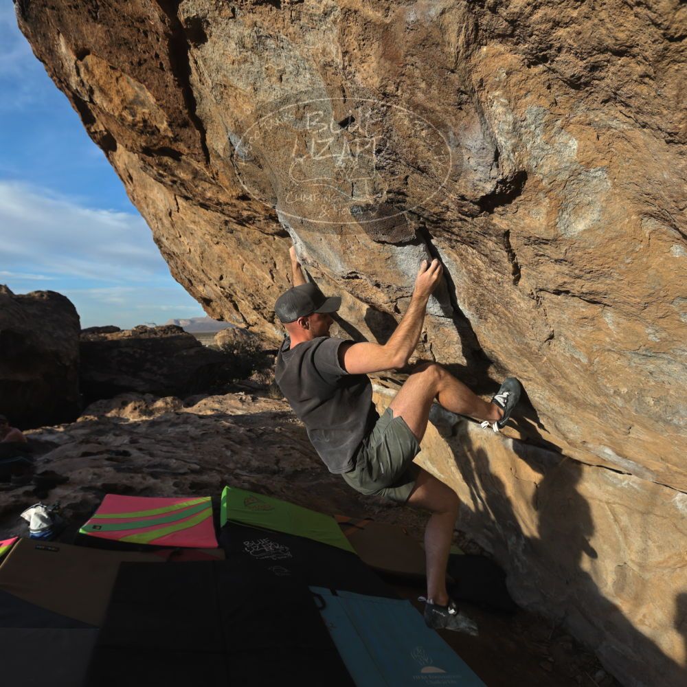 Filename: SRM_20230114_1619112.jpg
Aperture: f/5.6
Shutter Speed: 1/1000
Body: Canon EOS R6
Lens: Canon EF 16-35mm f/2.8 L