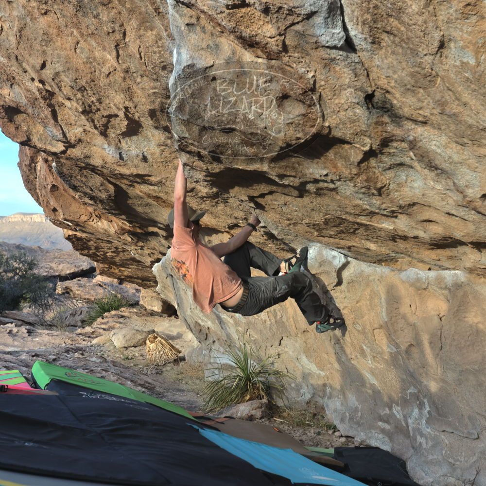 

Filename: SRM_20230114_1621200.jpg
Aperture: f/5.6
Shutter Speed: 1/1000
Body: Canon EOS R6
Lens: Canon EF 16-35mm f/2.8 L