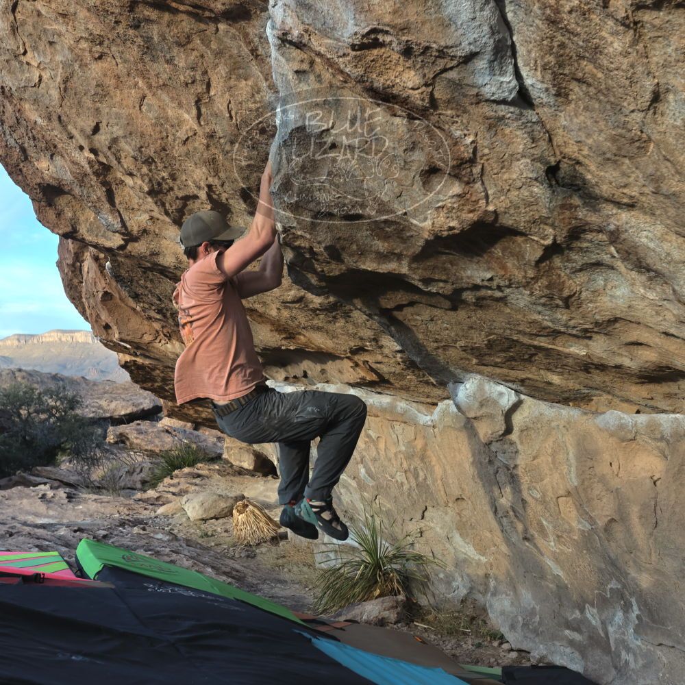 

Filename: SRM_20230114_1621290.jpg
Aperture: f/5.6
Shutter Speed: 1/1000
Body: Canon EOS R6
Lens: Canon EF 16-35mm f/2.8 L