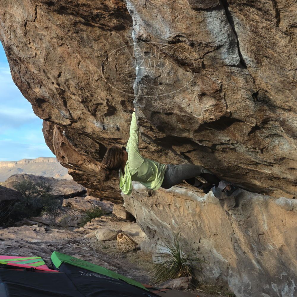 

Filename: SRM_20230114_1622580.jpg
Aperture: f/5.6
Shutter Speed: 1/1000
Body: Canon EOS R6
Lens: Canon EF 16-35mm f/2.8 L