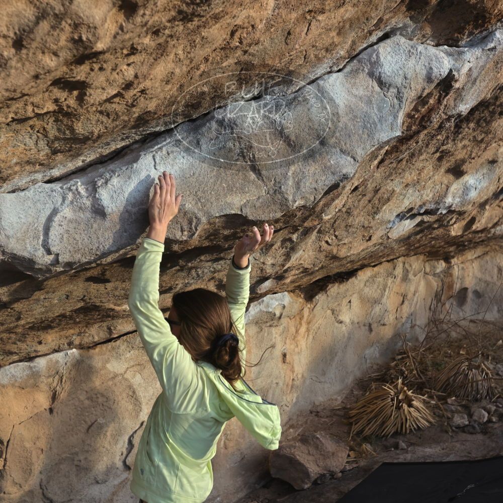 

Filename: SRM_20230114_1623381.jpg
Aperture: f/5.6
Shutter Speed: 1/1000
Body: Canon EOS R6
Lens: Canon EF 16-35mm f/2.8 L