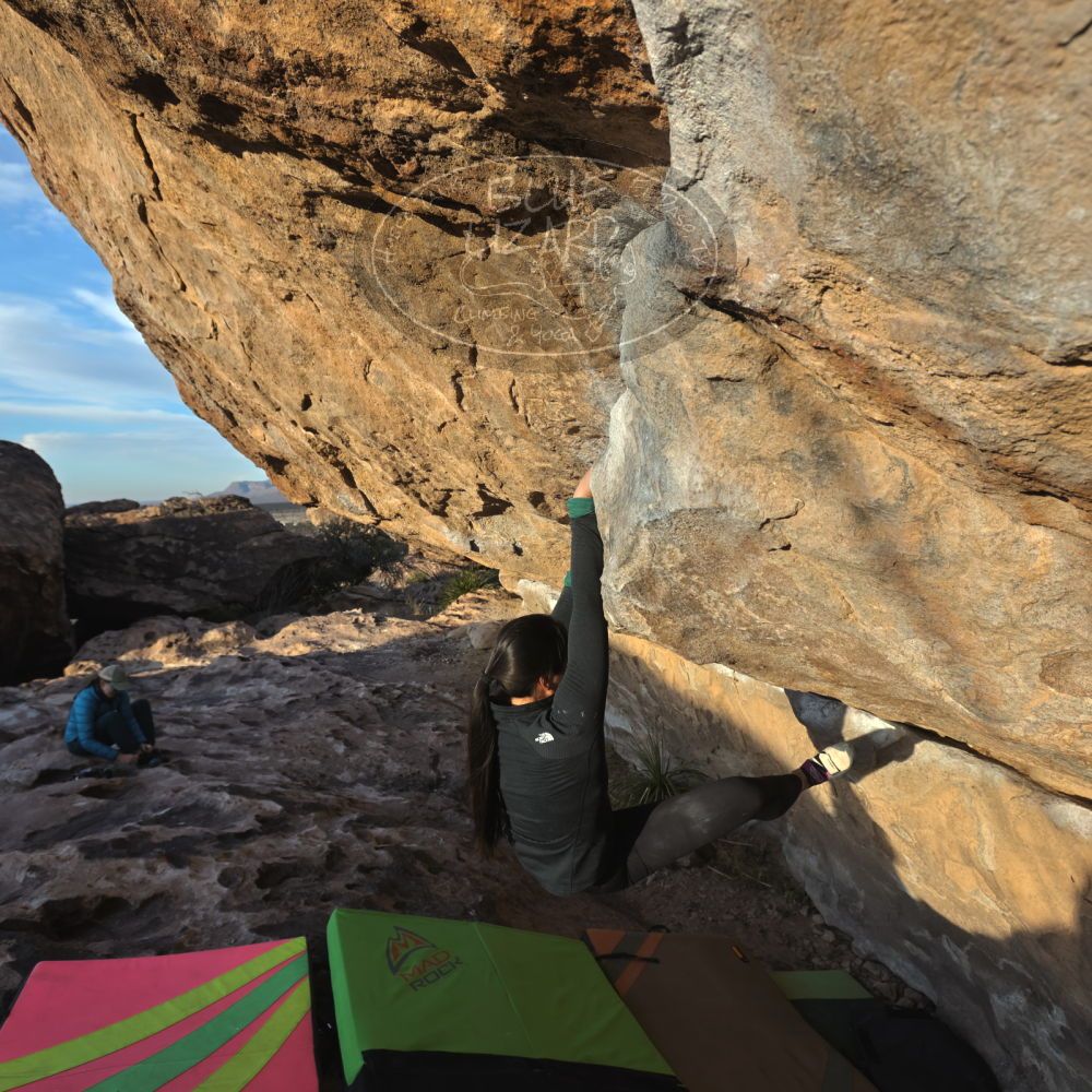 

Filename: SRM_20230114_1628550.jpg
Aperture: f/5.6
Shutter Speed: 1/1000
Body: Canon EOS R6
Lens: Canon EF 16-35mm f/2.8 L