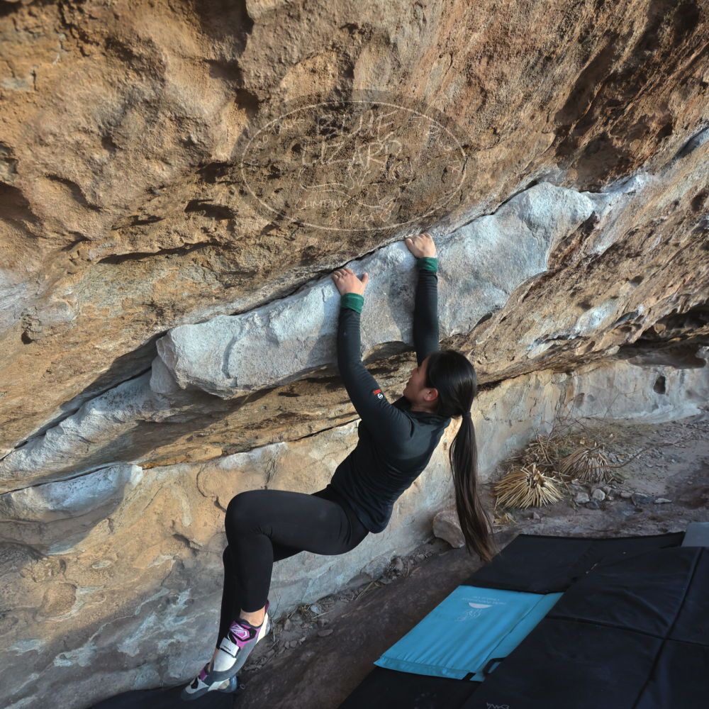 

Filename: SRM_20230114_1629240.jpg
Aperture: f/5.6
Shutter Speed: 1/1000
Body: Canon EOS R6
Lens: Canon EF 16-35mm f/2.8 L