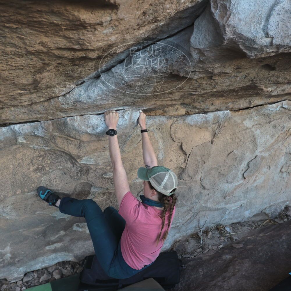 

Filename: SRM_20230114_1632090.jpg
Aperture: f/5.6
Shutter Speed: 1/1000
Body: Canon EOS R6
Lens: Canon EF 16-35mm f/2.8 L