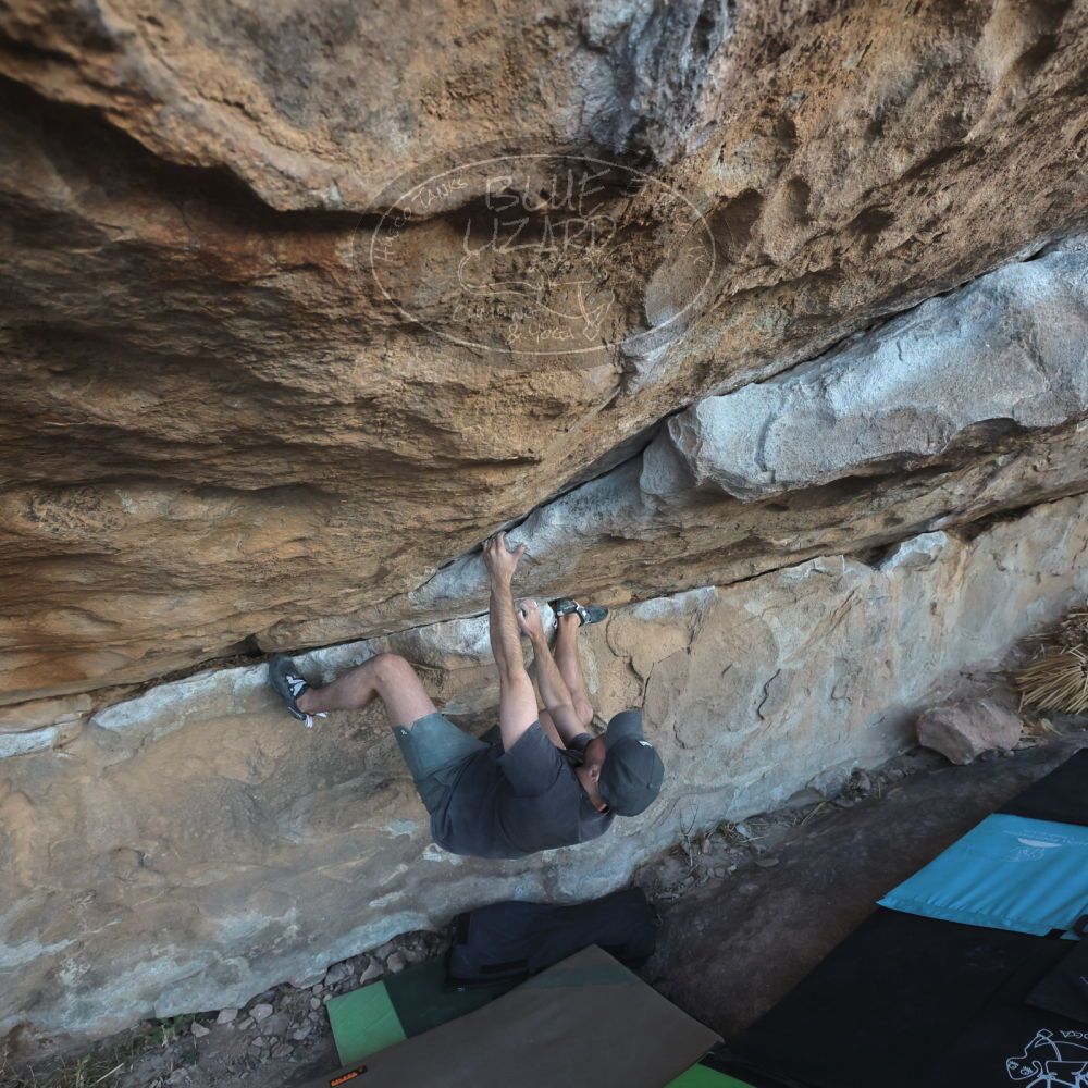 

Filename: SRM_20230114_1634310.jpg
Aperture: f/5.6
Shutter Speed: 1/1000
Body: Canon EOS R6
Lens: Canon EF 16-35mm f/2.8 L