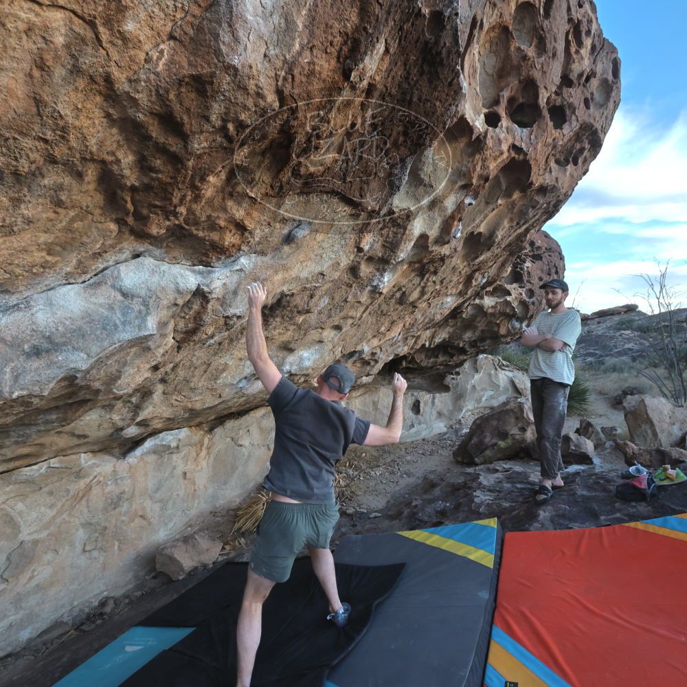 Filename: SRM_20230114_1635251.jpg
Aperture: f/5.6
Shutter Speed: 1/1000
Body: Canon EOS R6
Lens: Canon EF 16-35mm f/2.8 L