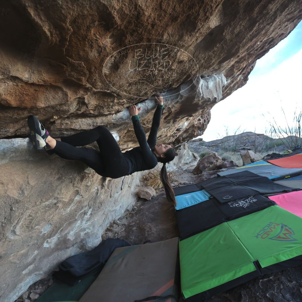 Filename: SRM_20230114_1637010.jpg
Aperture: f/5.6
Shutter Speed: 1/1000
Body: Canon EOS R6
Lens: Canon EF 16-35mm f/2.8 L