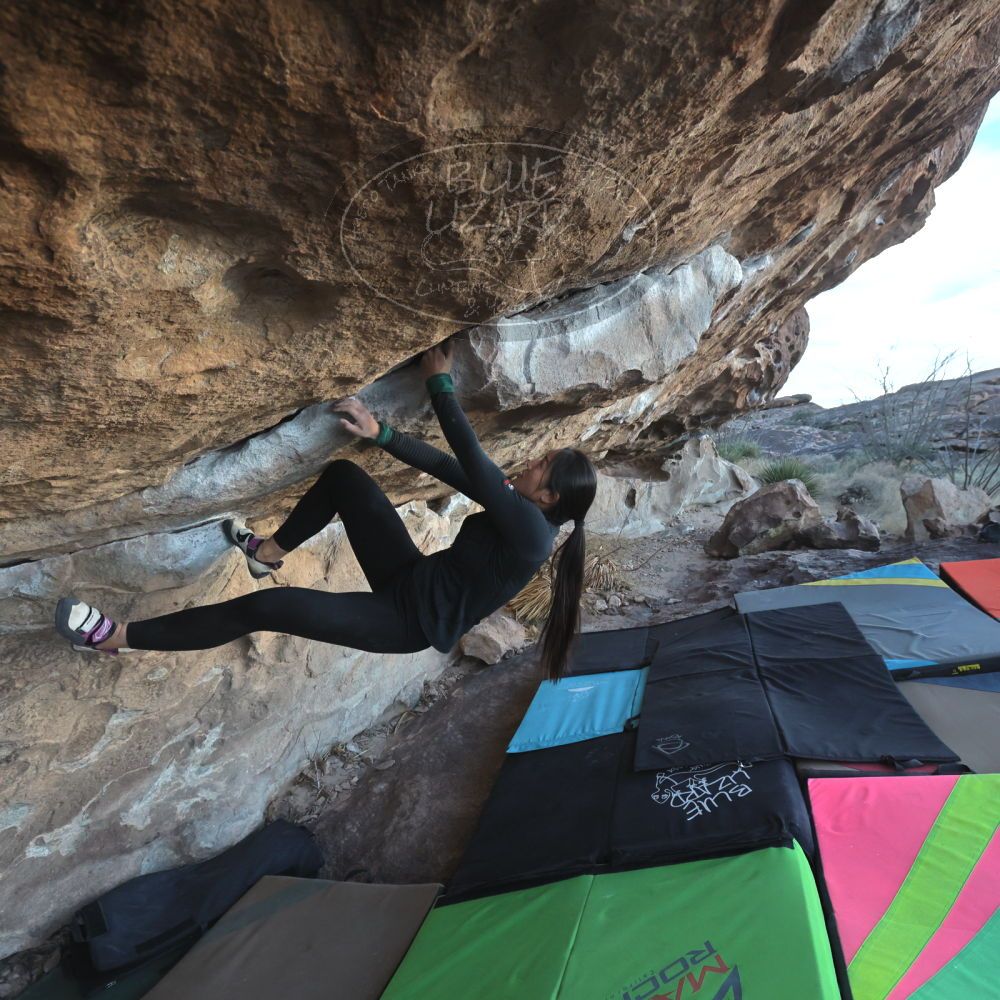 

Filename: SRM_20230114_1637070.jpg
Aperture: f/5.6
Shutter Speed: 1/1000
Body: Canon EOS R6
Lens: Canon EF 16-35mm f/2.8 L