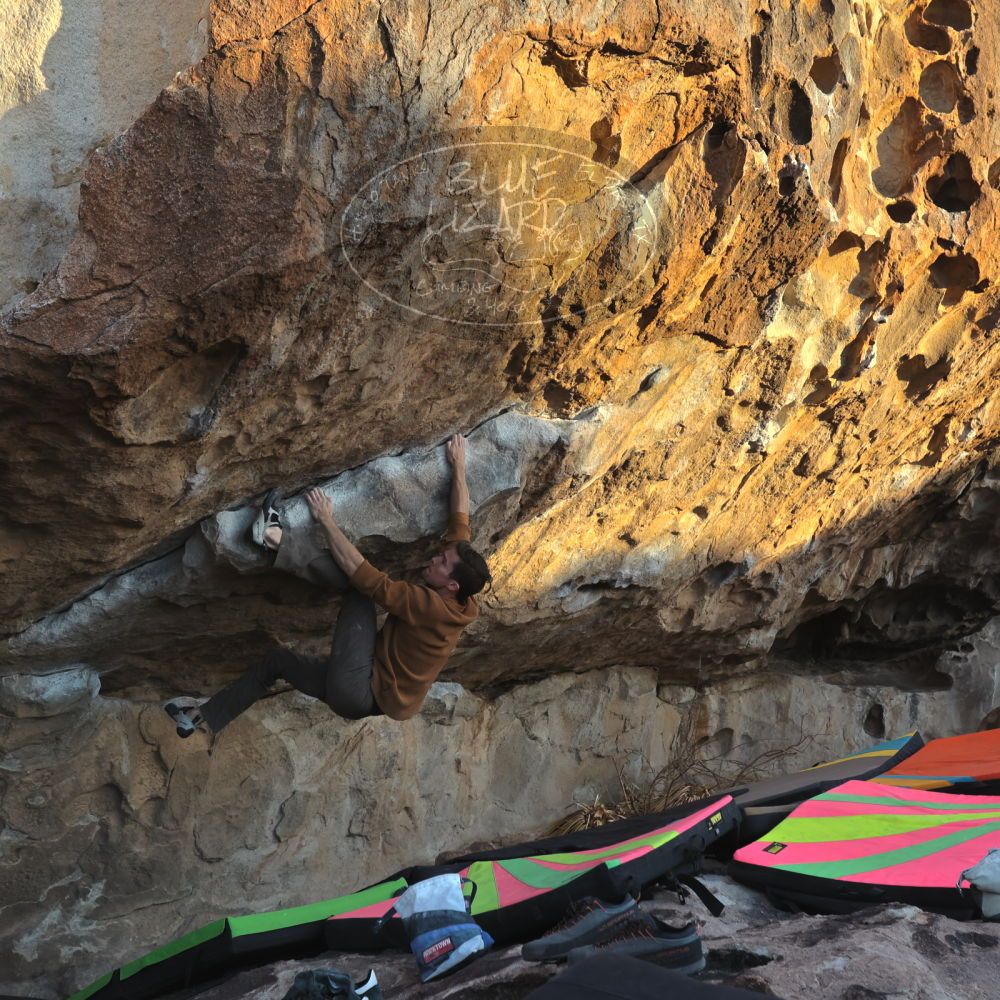 

Filename: SRM_20230114_1649440.jpg
Aperture: f/5.6
Shutter Speed: 1/1000
Body: Canon EOS R6
Lens: Canon EF 16-35mm f/2.8 L