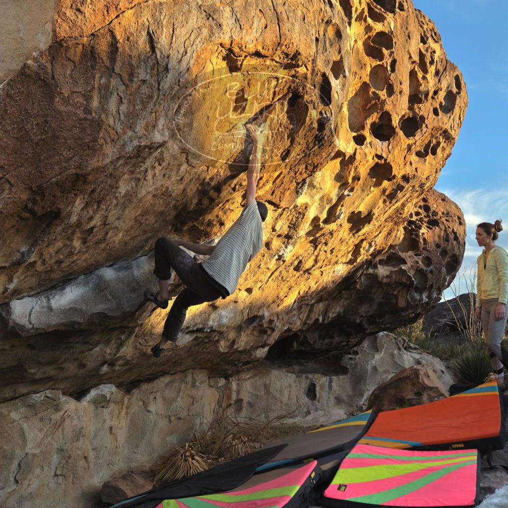 

Filename: SRM_20230114_1650530.jpg
Aperture: f/5.6
Shutter Speed: 1/1000
Body: Canon EOS R6
Lens: Canon EF 16-35mm f/2.8 L