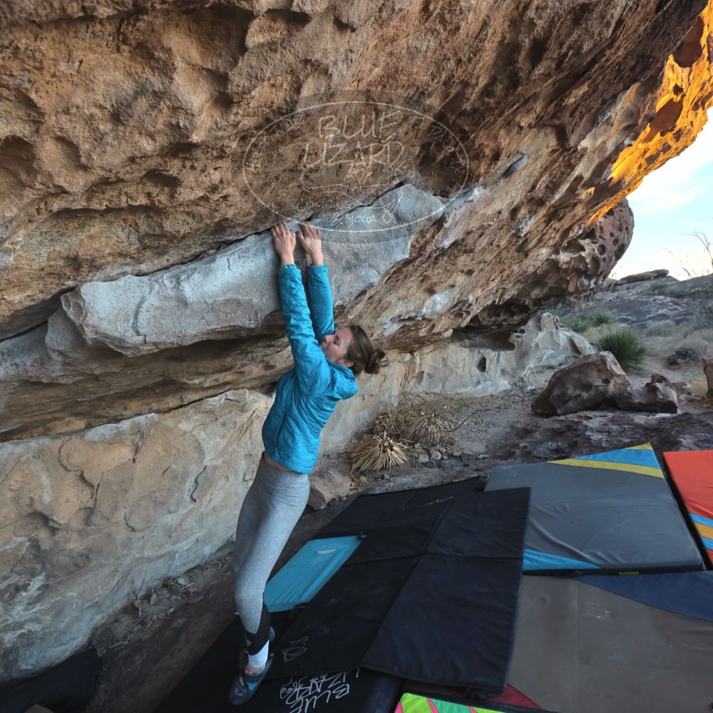 Filename: SRM_20230114_1706100.jpg
Aperture: f/5.6
Shutter Speed: 1/500
Body: Canon EOS R6
Lens: Canon EF 16-35mm f/2.8 L