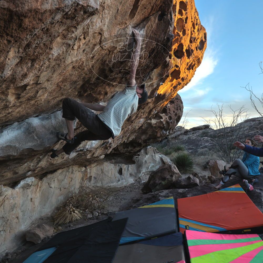 Filename: SRM_20230114_1707060.jpg
Aperture: f/5.6
Shutter Speed: 1/500
Body: Canon EOS R6
Lens: Canon EF 16-35mm f/2.8 L