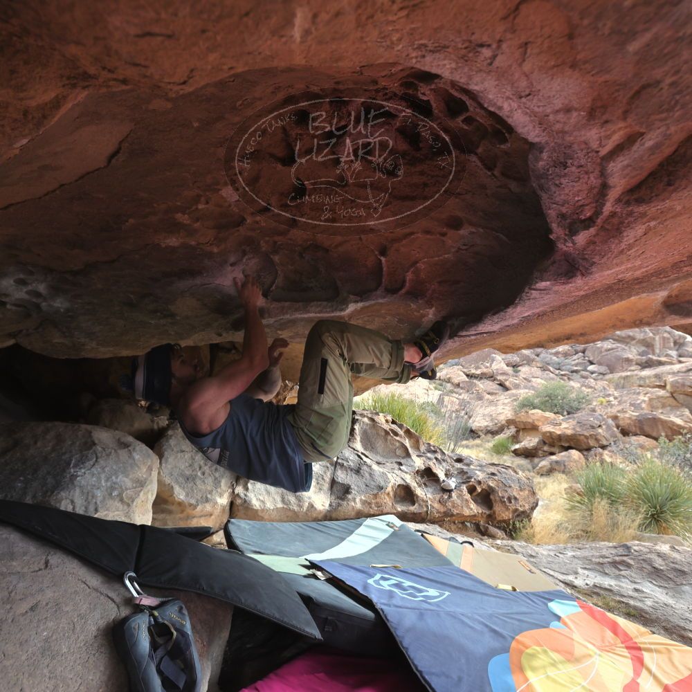 Filename: SRM_20230115_0916291.jpg
Aperture: f/5.6
Shutter Speed: 1/500
Body: Canon EOS R6
Lens: Canon EF 16-35mm f/2.8 L