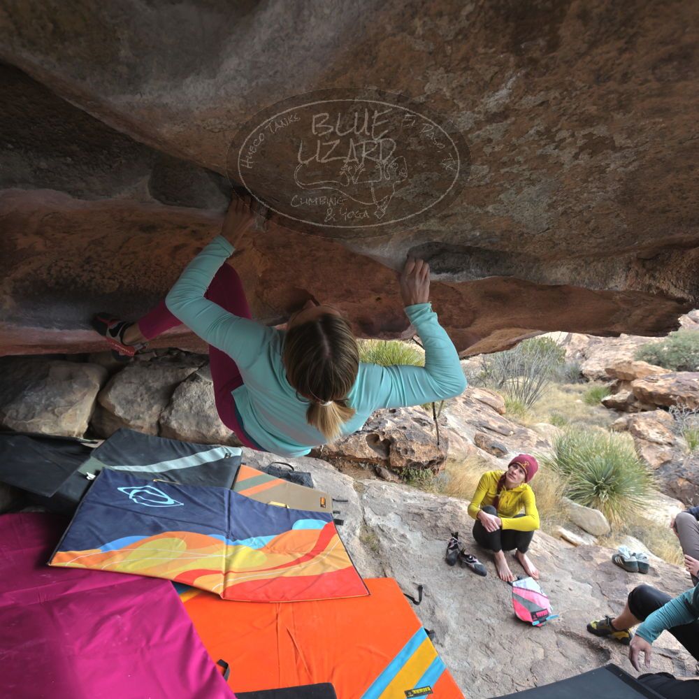 Filename: SRM_20230115_0919230.jpg
Aperture: f/5.6
Shutter Speed: 1/500
Body: Canon EOS R6
Lens: Canon EF 16-35mm f/2.8 L