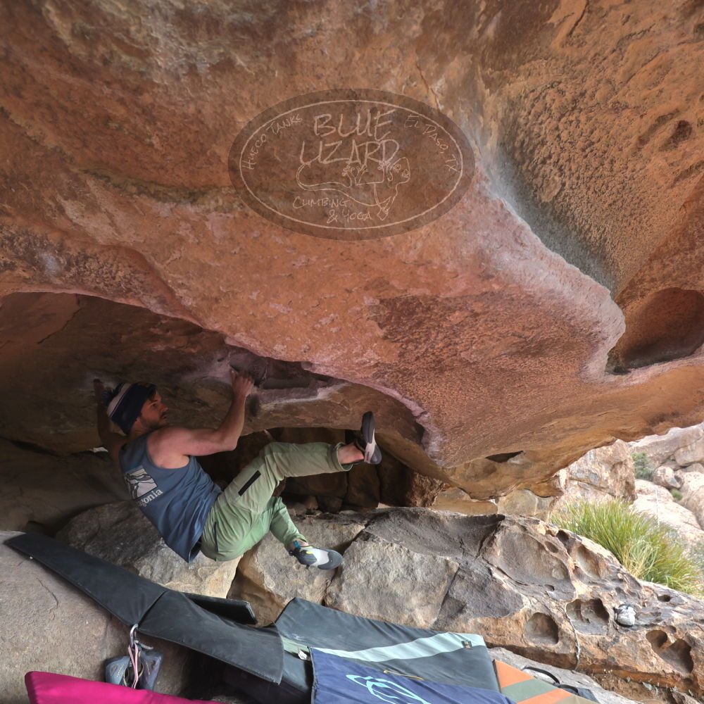 Filename: SRM_20230115_0921421.jpg
Aperture: f/5.6
Shutter Speed: 1/500
Body: Canon EOS R6
Lens: Canon EF 16-35mm f/2.8 L