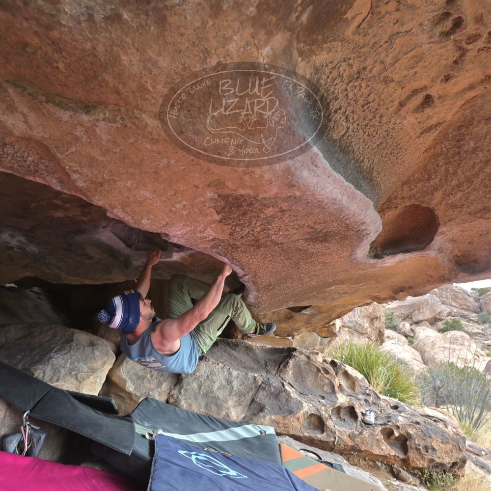 

Filename: SRM_20230115_0921450.jpg
Aperture: f/5.6
Shutter Speed: 1/500
Body: Canon EOS R6
Lens: Canon EF 16-35mm f/2.8 L