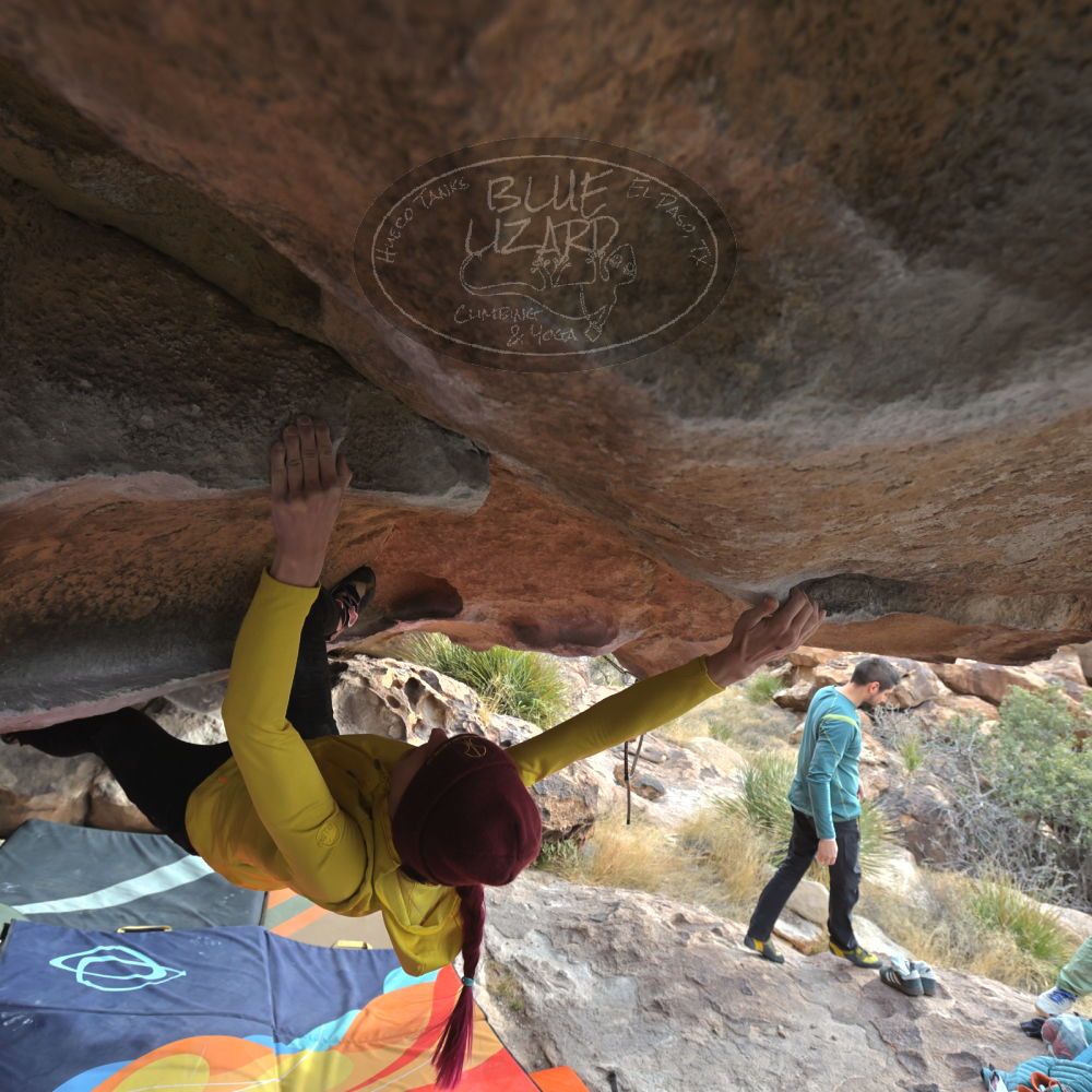 Filename: SRM_20230115_0927240.jpg
Aperture: f/5.6
Shutter Speed: 1/500
Body: Canon EOS R6
Lens: Canon EF 16-35mm f/2.8 L