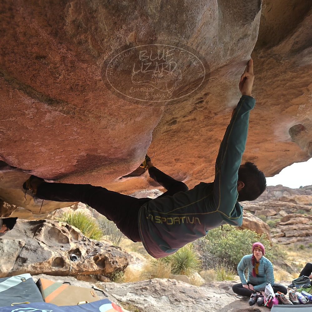 Filename: SRM_20230115_0941260.jpg
Aperture: f/5.6
Shutter Speed: 1/500
Body: Canon EOS R6
Lens: Canon EF 16-35mm f/2.8 L