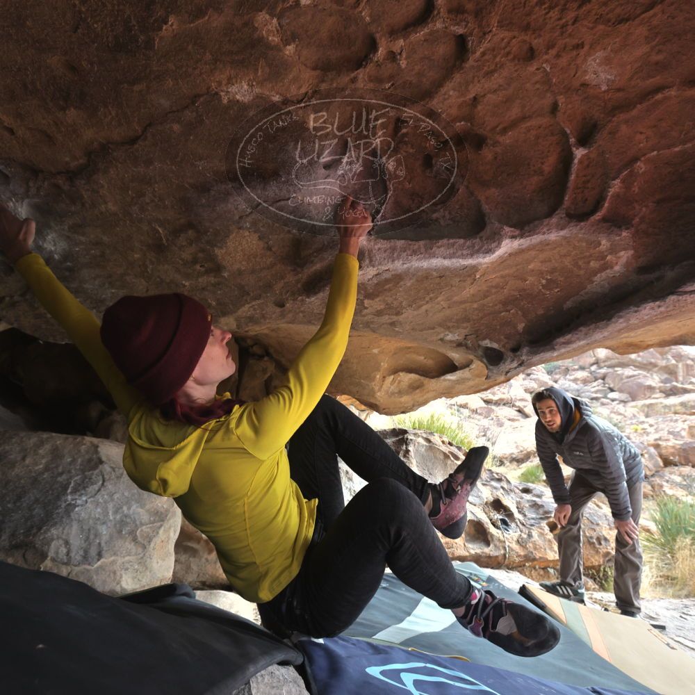 Filename: SRM_20230115_0948141.jpg
Aperture: f/5.6
Shutter Speed: 1/500
Body: Canon EOS R6
Lens: Canon EF 16-35mm f/2.8 L