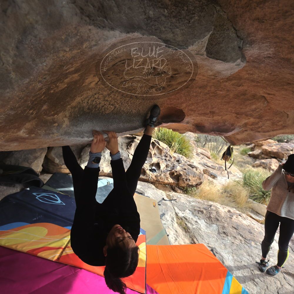 

Filename: SRM_20230115_0951181.jpg
Aperture: f/5.6
Shutter Speed: 1/500
Body: Canon EOS R6
Lens: Canon EF 16-35mm f/2.8 L