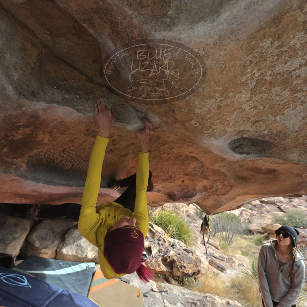 Filename: SRM_20230115_0951520.jpg
Aperture: f/5.6
Shutter Speed: 1/500
Body: Canon EOS R6
Lens: Canon EF 16-35mm f/2.8 L