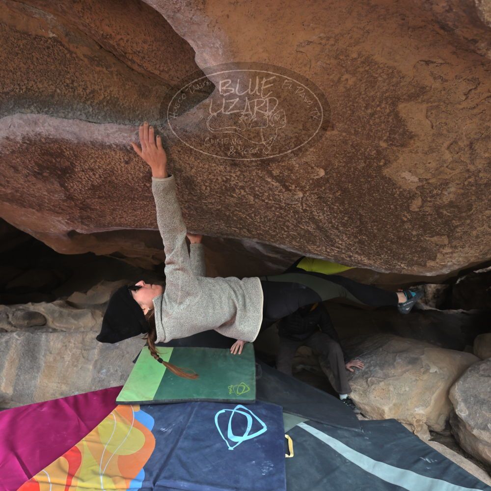 Filename: SRM_20230115_0957100.jpg
Aperture: f/5.6
Shutter Speed: 1/500
Body: Canon EOS R6
Lens: Canon EF 16-35mm f/2.8 L