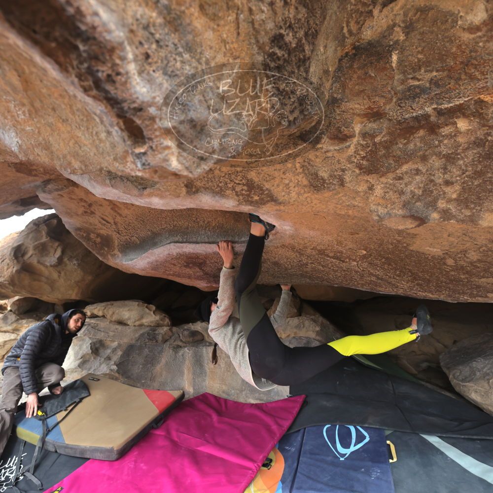 Filename: SRM_20230115_1001170.jpg
Aperture: f/5.6
Shutter Speed: 1/500
Body: Canon EOS R6
Lens: Canon EF 16-35mm f/2.8 L