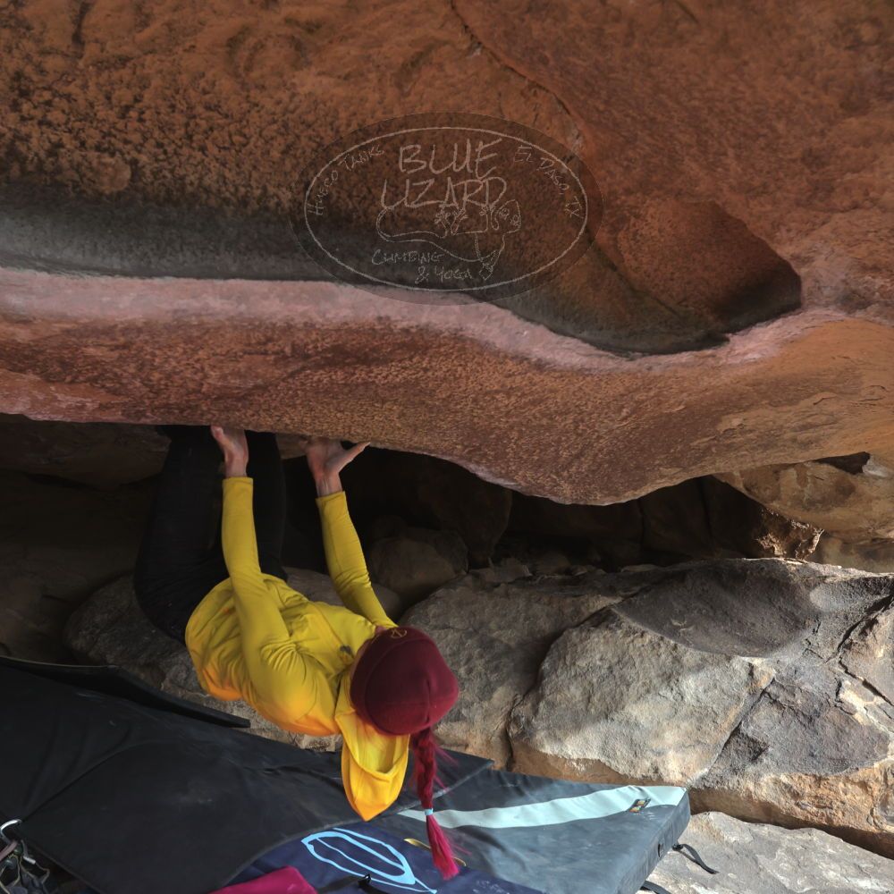 Filename: SRM_20230115_1017150.jpg
Aperture: f/5.6
Shutter Speed: 1/1250
Body: Canon EOS R6
Lens: Canon EF 16-35mm f/2.8 L