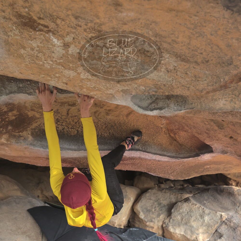 Filename: SRM_20230115_1017470.jpg
Aperture: f/5.6
Shutter Speed: 1/1250
Body: Canon EOS R6
Lens: Canon EF 16-35mm f/2.8 L