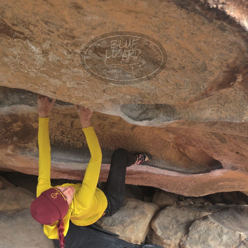 Filename: SRM_20230115_1017560.jpg
Aperture: f/5.6
Shutter Speed: 1/1250
Body: Canon EOS R6
Lens: Canon EF 16-35mm f/2.8 L