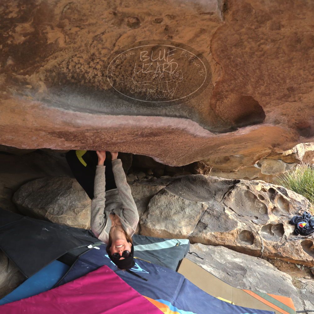 Filename: SRM_20230115_1023341.jpg
Aperture: f/5.6
Shutter Speed: 1/1250
Body: Canon EOS R6
Lens: Canon EF 16-35mm f/2.8 L