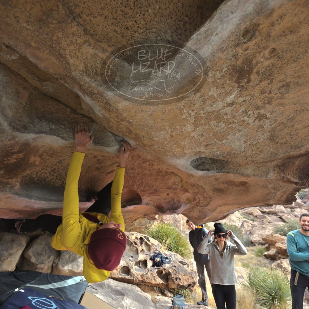 Filename: SRM_20230115_1024110.jpg
Aperture: f/5.6
Shutter Speed: 1/1250
Body: Canon EOS R6
Lens: Canon EF 16-35mm f/2.8 L