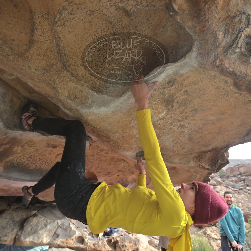 Filename: SRM_20230115_1025250.jpg
Aperture: f/5.6
Shutter Speed: 1/1250
Body: Canon EOS R6
Lens: Canon EF 16-35mm f/2.8 L