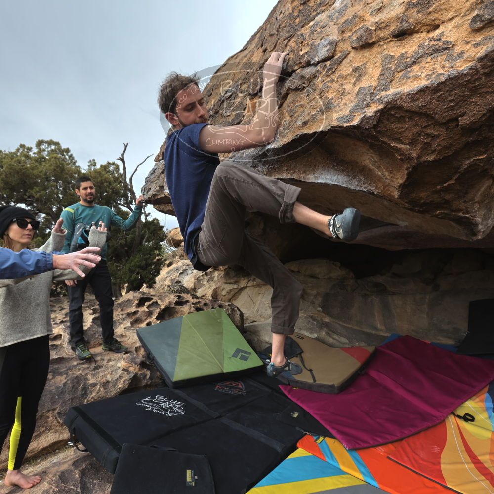 

Filename: SRM_20230115_1030590.jpg
Aperture: f/5.6
Shutter Speed: 1/1250
Body: Canon EOS R6
Lens: Canon EF 16-35mm f/2.8 L