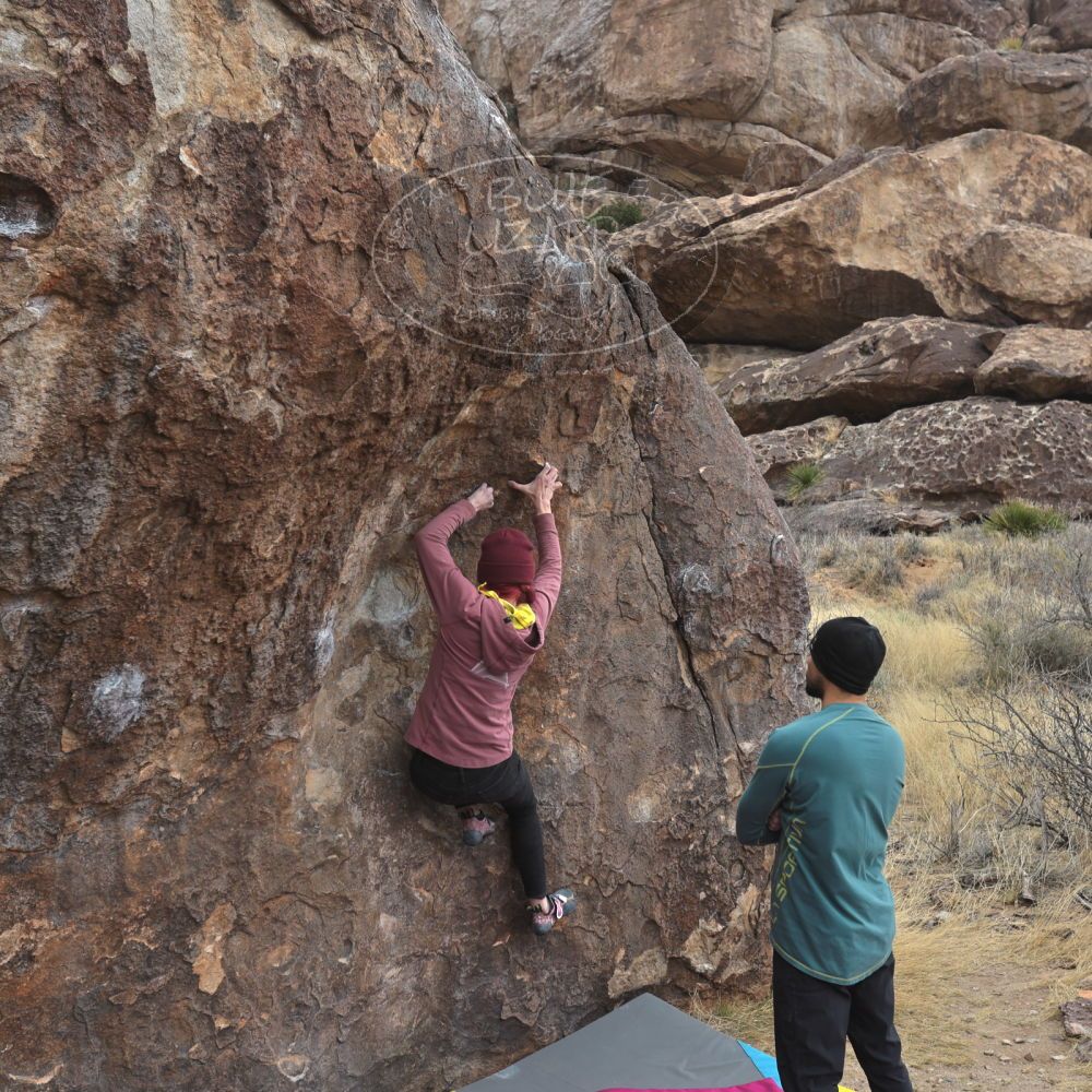 

Filename: SRM_20230115_1118090.jpg
Aperture: f/5.6
Shutter Speed: 1/640
Body: Canon EOS R6
Lens: Canon EF 16-35mm f/2.8 L