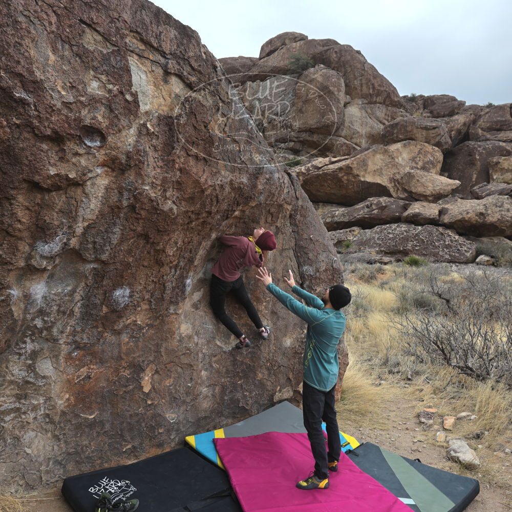 Filename: SRM_20230115_1118131.jpg
Aperture: f/5.6
Shutter Speed: 1/640
Body: Canon EOS R6
Lens: Canon EF 16-35mm f/2.8 L