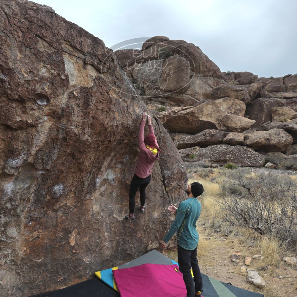 Filename: SRM_20230115_1118230.jpg
Aperture: f/5.6
Shutter Speed: 1/640
Body: Canon EOS R6
Lens: Canon EF 16-35mm f/2.8 L