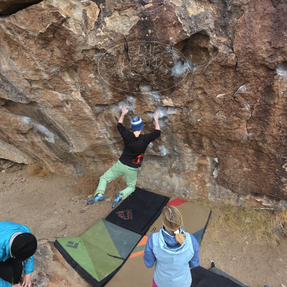 

Filename: SRM_20230115_1118361.jpg
Aperture: f/5.6
Shutter Speed: 1/640
Body: Canon EOS R6
Lens: Canon EF 16-35mm f/2.8 L