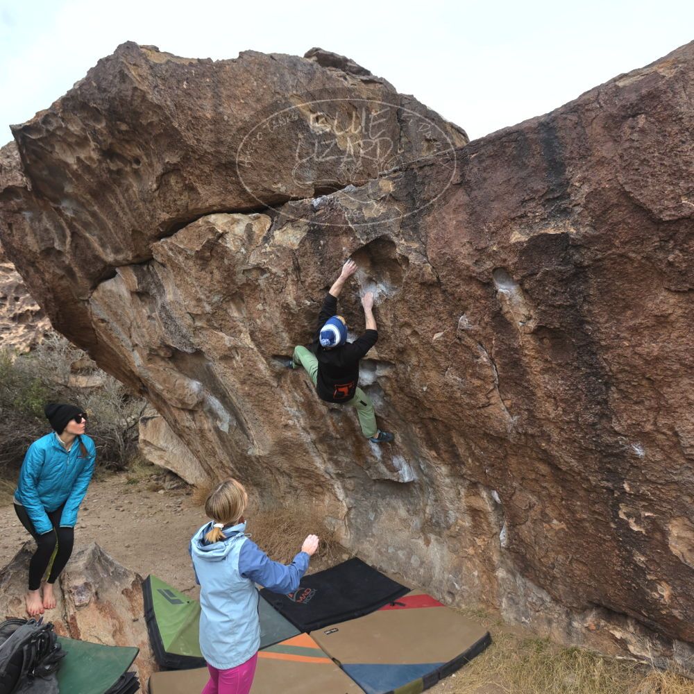 Filename: SRM_20230115_1118520.jpg
Aperture: f/5.6
Shutter Speed: 1/640
Body: Canon EOS R6
Lens: Canon EF 16-35mm f/2.8 L