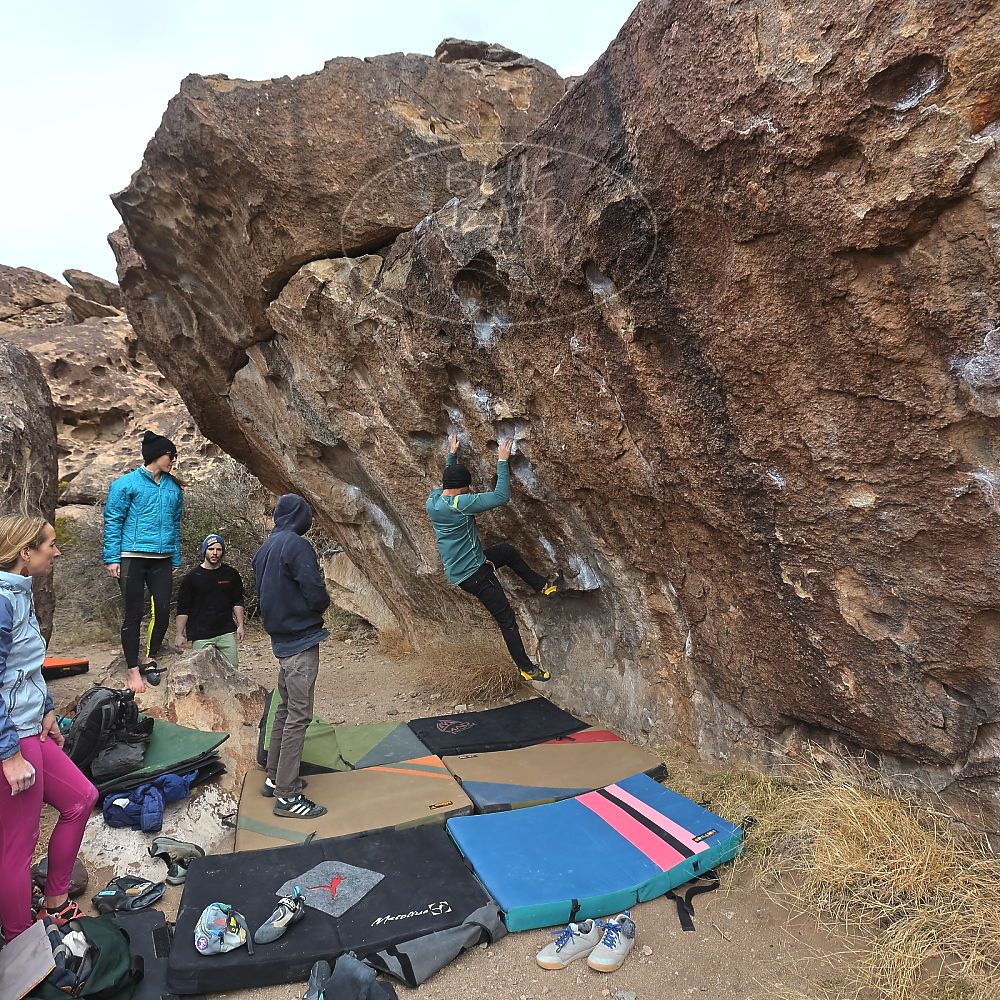 Filename: SRM_20230115_1120380.jpg
Aperture: f/5.6
Shutter Speed: 1/640
Body: Canon EOS R6
Lens: Canon EF 16-35mm f/2.8 L