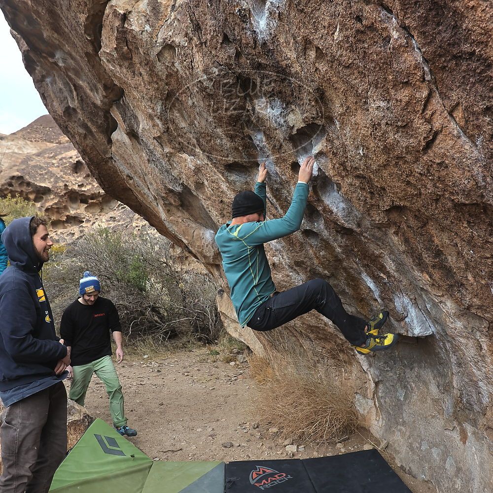 Filename: SRM_20230115_1120390.jpg
Aperture: f/5.6
Shutter Speed: 1/640
Body: Canon EOS R6
Lens: Canon EF 16-35mm f/2.8 L