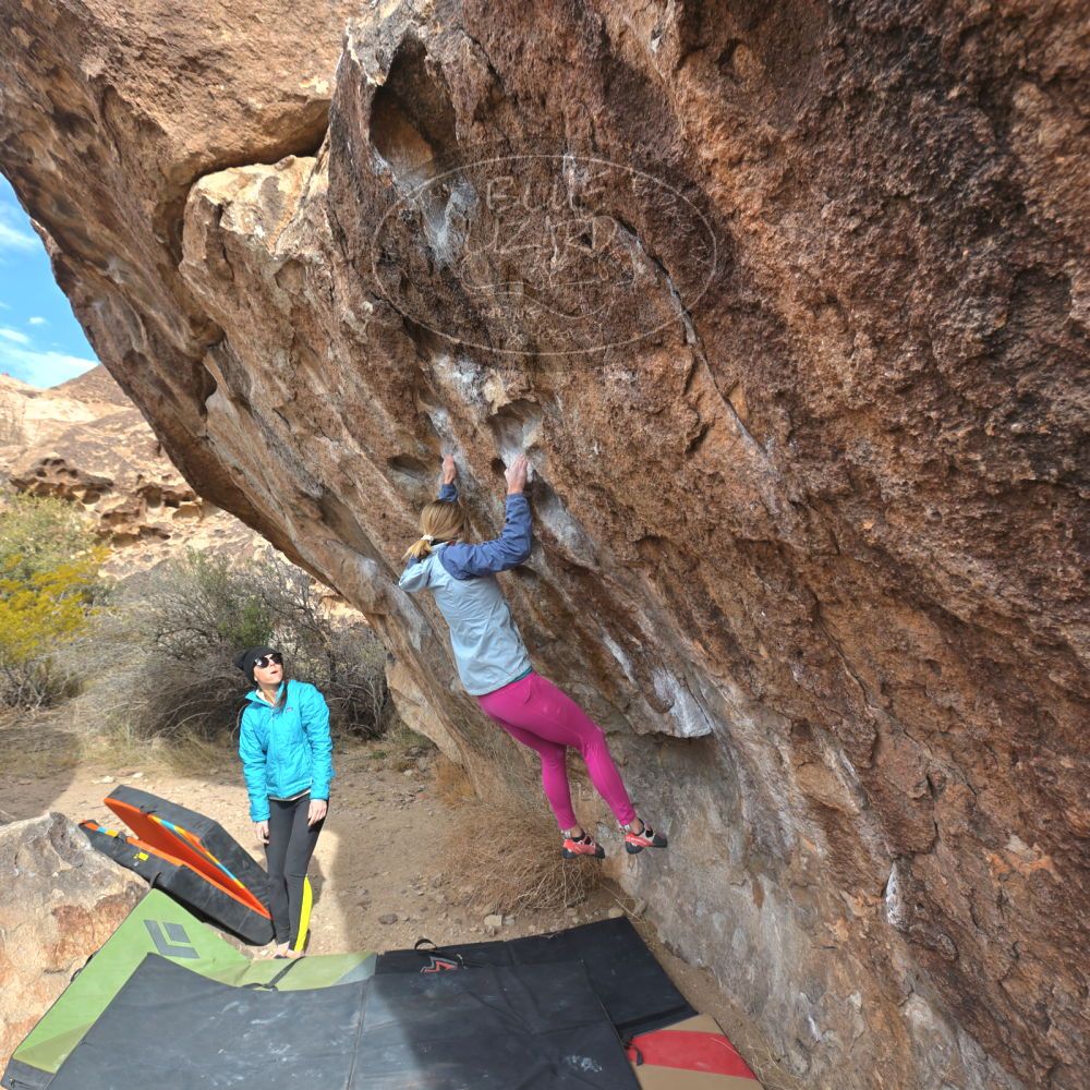 Filename: SRM_20230115_1122321.jpg
Aperture: f/5.6
Shutter Speed: 1/400
Body: Canon EOS R6
Lens: Canon EF 16-35mm f/2.8 L