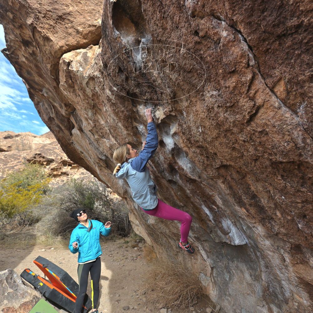 

Filename: SRM_20230115_1122380.jpg
Aperture: f/5.6
Shutter Speed: 1/400
Body: Canon EOS R6
Lens: Canon EF 16-35mm f/2.8 L