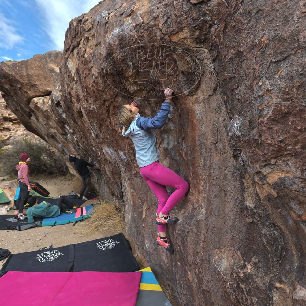 Filename: SRM_20230115_1124220.jpg
Aperture: f/5.6
Shutter Speed: 1/400
Body: Canon EOS R6
Lens: Canon EF 16-35mm f/2.8 L